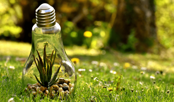 Báo cáo đánh giá tác động môi trường – Nội dung, vai trò và ý nghĩa