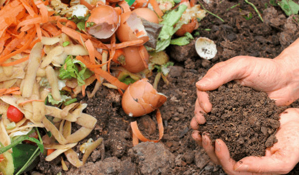 Chất thải hữu cơ là gì? Các phương pháp tái chế chất thải hữu cơ hiệu quả