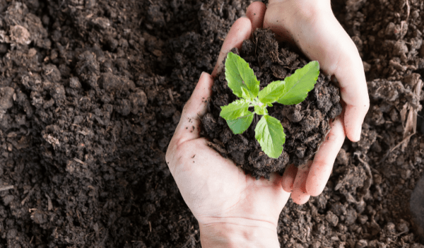 Tìm hiểu về giấy xác nhận đăng ký kế hoạch bảo vệ môi trường