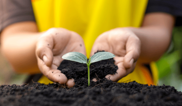 ISO 14001 là gì? 5 điều bạn cần biết về tiêu chuẩn ISO 14001