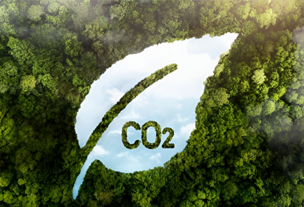Dịch vụ tín chỉ carbon