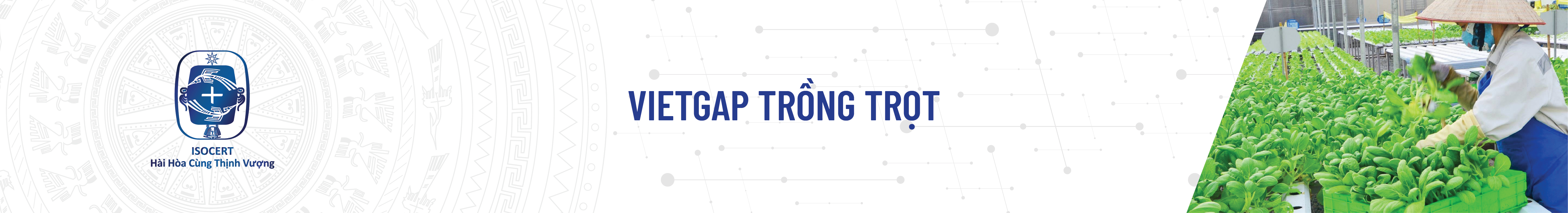 Chứng nhận VietGAP trồng trọt - Thực hành sản xuất nông nghiệp tốt