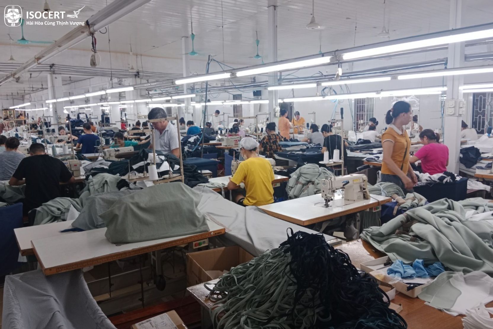  Hoạt động của Công ty TNHH một thành viên May Mạnh Cường