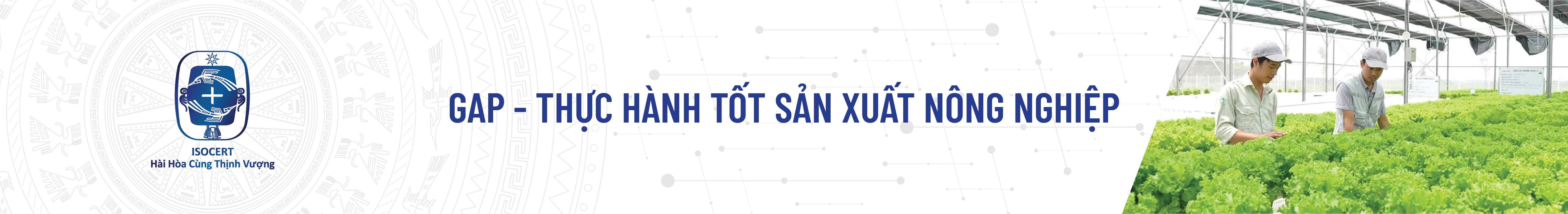 GAP - Thực hành tốt sản xuất nông nghiệp
