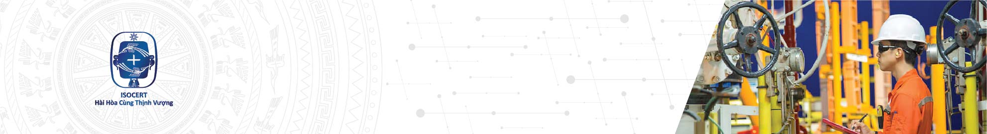 Giám định quy trình