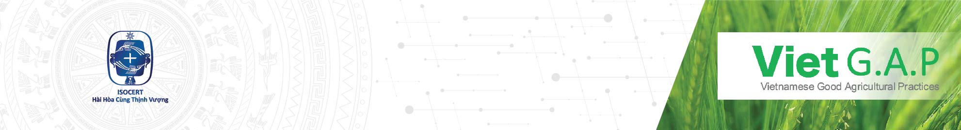 Chứng nhận VietGap