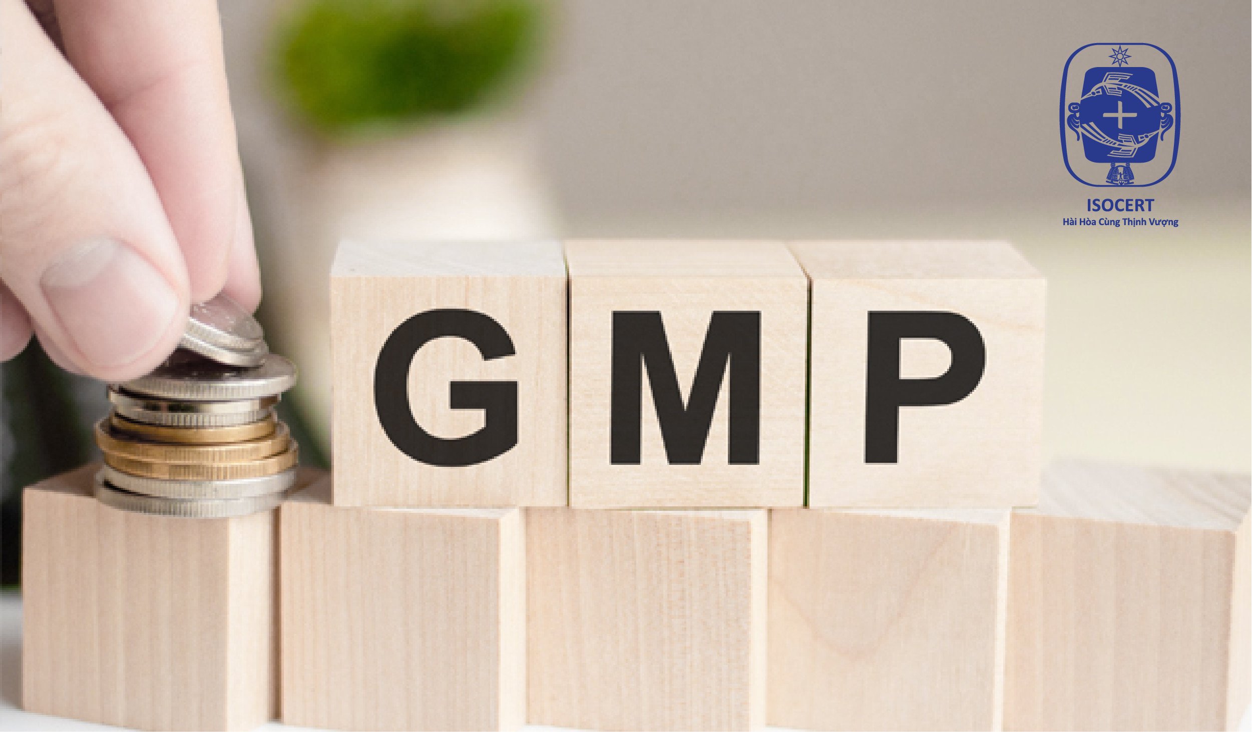 Cấp Giấy Chứng nhận GMP | ISOCERT.ORG.VN