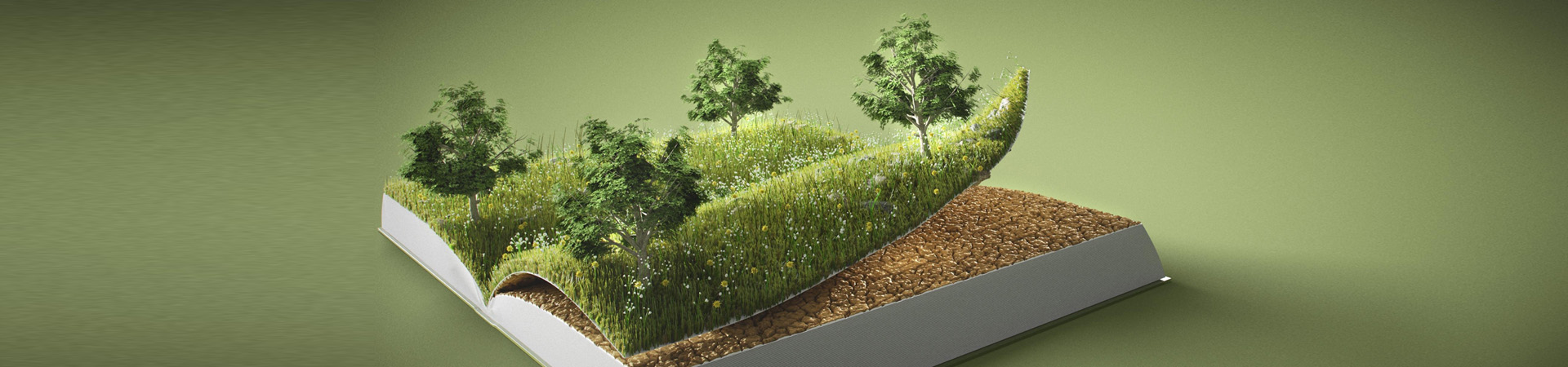 Chứng nhận GMP FOOD - Thực hành tốt sản xuất thực phẩm