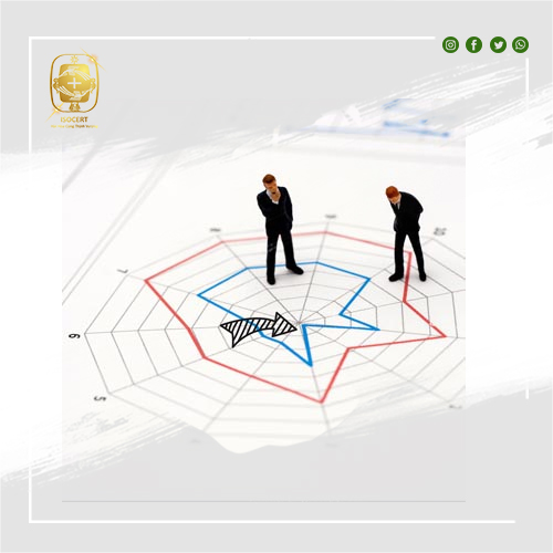 Biểu đồ mạng nhện - Spider Web Diagram