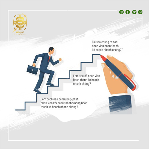 Đánh giá năng lực và hiệu quả công việc của nhân viên