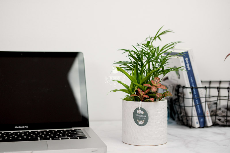 Chuẩn bị cho ngày đầu tiên trở lại văn phòng sau đại dịch Covid