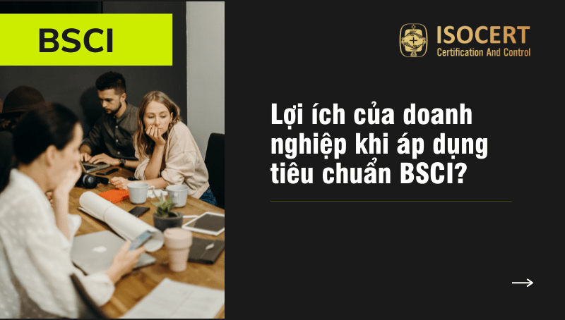 Hình ảnh minh họa: Lợi ích của doanh nghiệp khi áp dụng tiêu chuẩn BSCI?