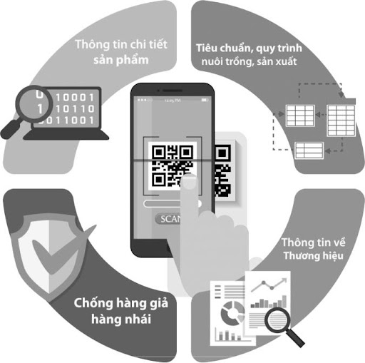 Xây dựng Hệ thống truy xuất nguồn gốc sản phẩm hội nhập quốc tế