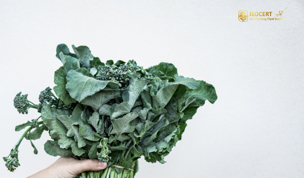 Dịch vụ chứng nhận BRC - Cấp chứng chỉ BRC