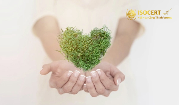 KHÓA ĐÀO TẠO ISO 14001:2015