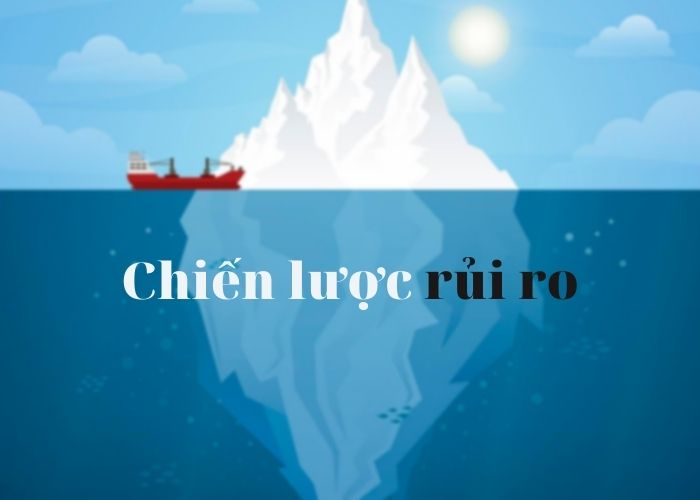 Chiến lược quản lý rủi ro là gì?