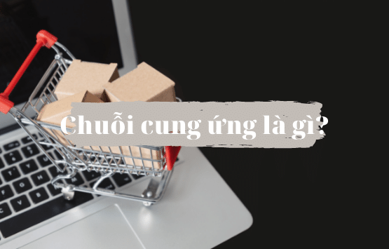 Chuỗi cung ứng là gì? Tìm hiểu về các loại chuỗi ứng hiện nay