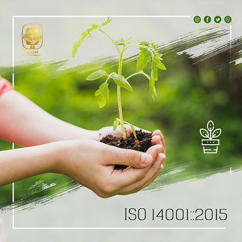 Bắt đầu với hệ thống Quản lý môi trường ISO 14001