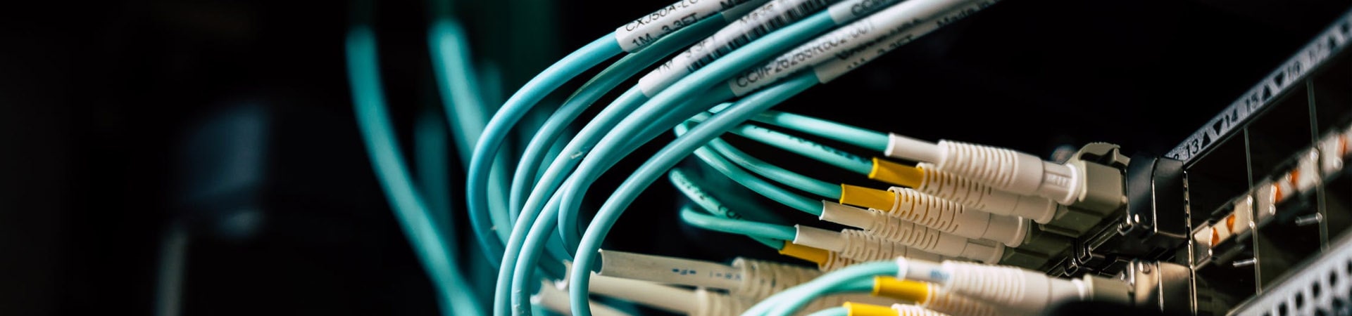 Hiệu suất năng lượng (EE)