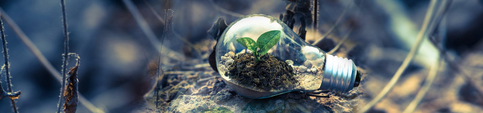 Thử nghiệm Sản phẩm điện, điện tử, vật liệu