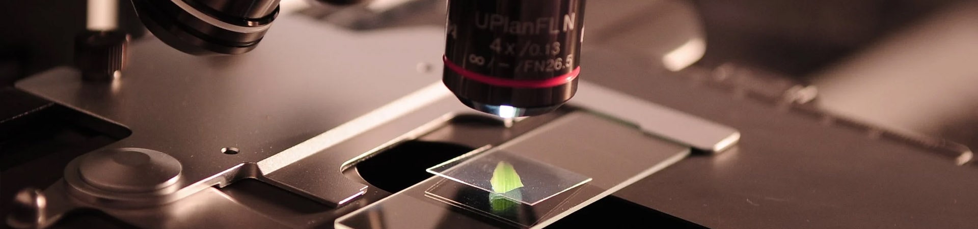 Dịch vụ thử nghiệm kim loại