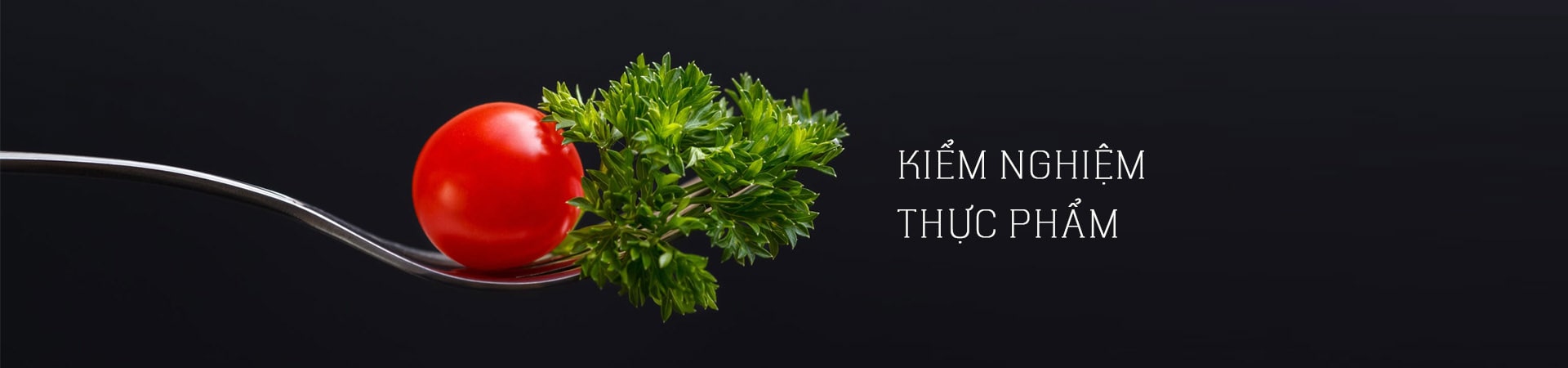 Thử nghiệm dầu - mỡ và các sản phẩm của dầu mỡ