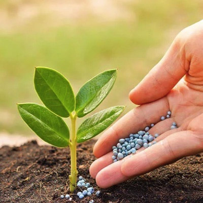 Hợp quy phân bón theo QCVN 01-189:2019/BNNPTNT