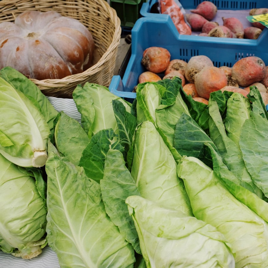 Thử nghiệm Nông sản (Rau, quả, trái cây…)