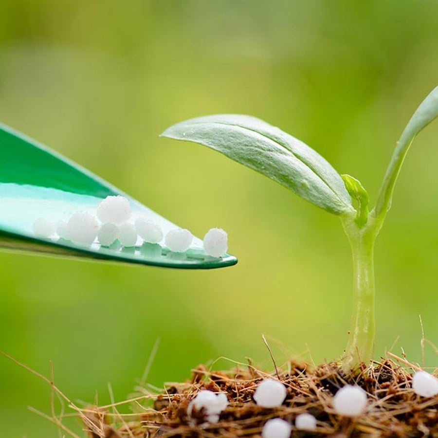 Dịch vụ thử nghiệm phân bón