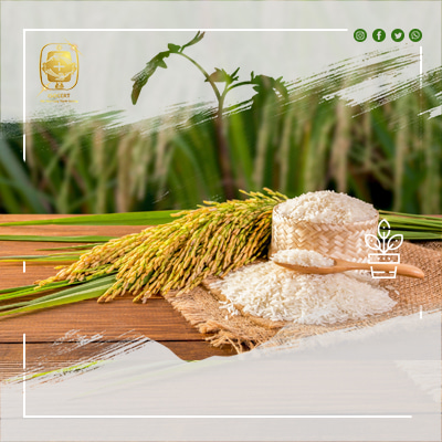 GLOBALG.AP Tiêu chuẩn Toàn cầu về Thực hành Nông nghiệp tốt