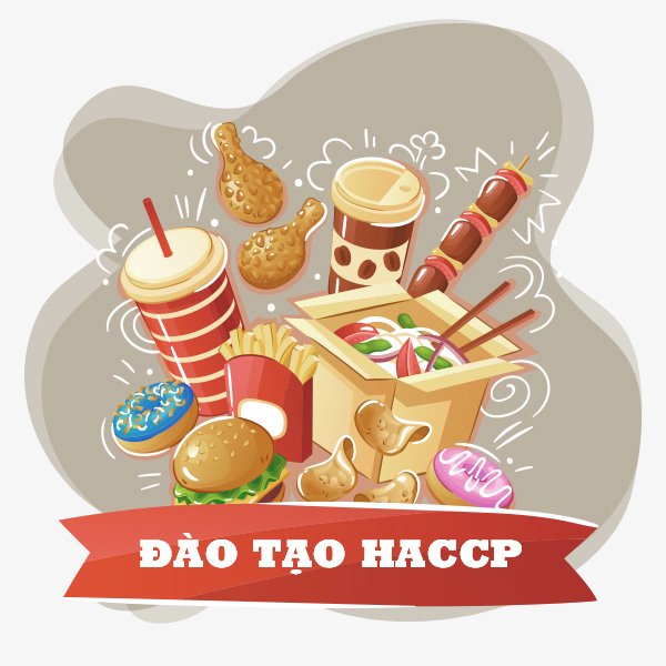 Dịch Vụ Đào Tạo HACCP Chuyên Nghiệp Cho Doanh Nghiệp