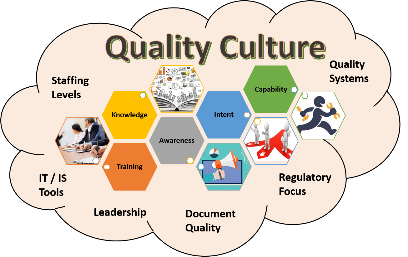 VĂN HÓA CHẤT LƯỢNG VÀ PHÉP ĐO CỦA NÓ