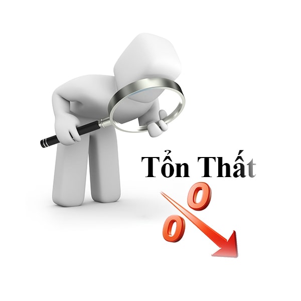 Giám định tổn thất hàng hóa, cấp chứng thư chu trình sản xuất